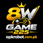 8W Game